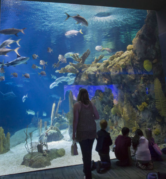 No. 1: Henry Doorly Zoo & Aquarium
